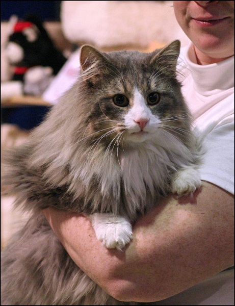 Umano des Bandits de Grand'Chemins 1.jpg - Umano des Bandits de Grand'Chemins 